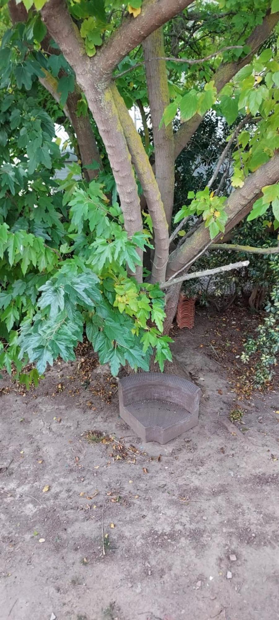 Le Barcares Logement Climatise Pour 6 Personnes, Draps Et Serviettes Non Fournis Air-Conditioned Accommodation For 6 People, Sheets And Towels Not Provided Alojamiento Con Aire Acondicionado Para 6 Personas, Sabanas Y Toallas No Incluidas Esterno foto
